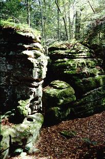Dolly Sods Photo