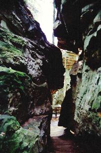 Dolly Sods Photo
