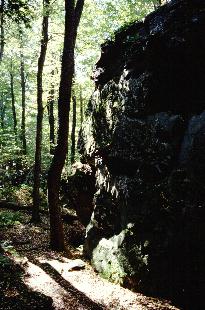 Dolly Sods Photo
