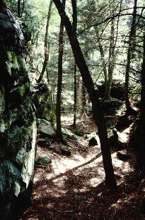 Dolly Sods Photo
