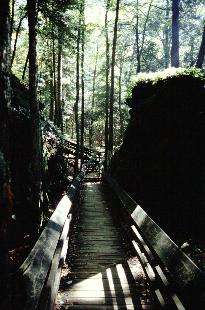 Dolly Sods Photo
