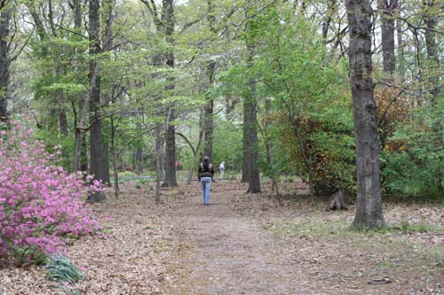IMG_0385