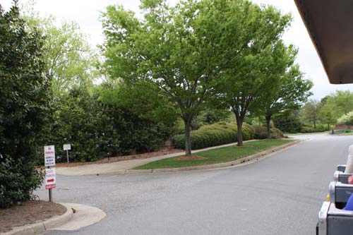 IMG_0503